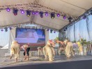 IMG_0975