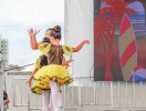 DSC00501